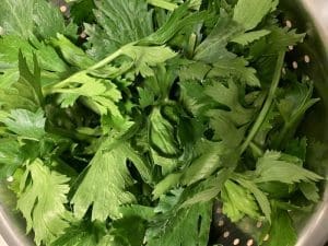 Come utilizzare le foglie di sedano - Riciblog