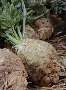 3 curiosità sul sedano - Riciblog