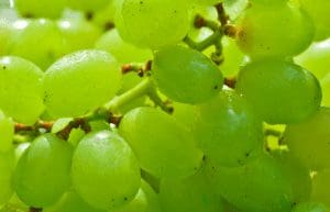 Proprietà della buccia d'uva - Riciblog